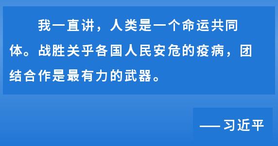 国家最新疫情情况，全球视野下的防控挑战与应对策略