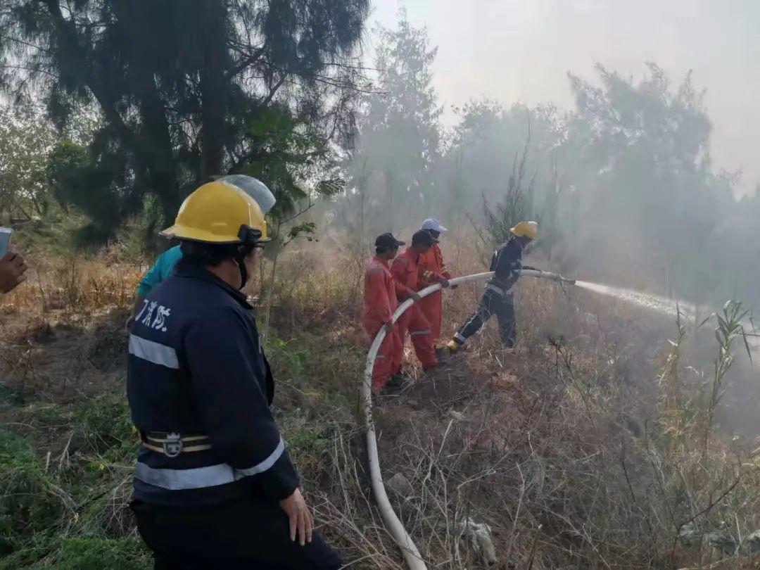 厦门天气实时最新，探索海岛的四季风情与气候特点