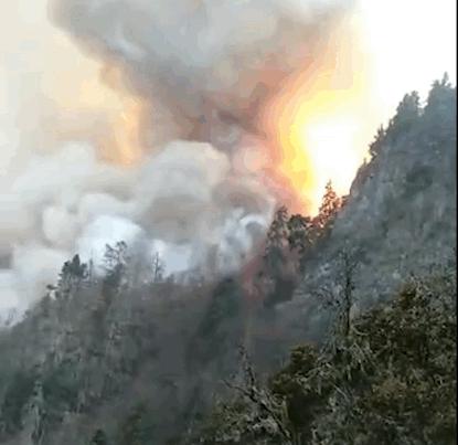 湖北山火最新，一场生态危机与救援行动的较量