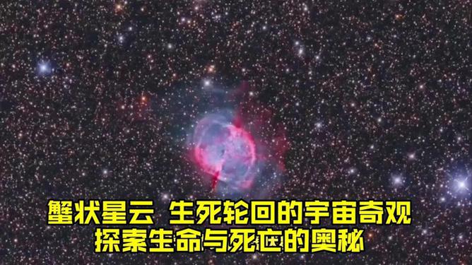 千变轮回最新，探索宇宙与生命的奥秘