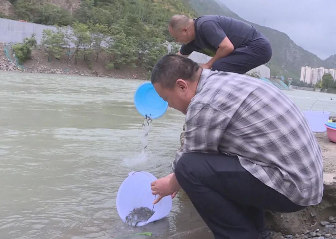 长江禁渔最新通知，守护绿水青山，共筑生态文明