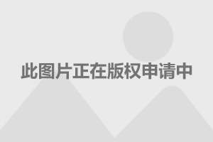 王校长最新女友，娱乐圈新宠的甜蜜恋情