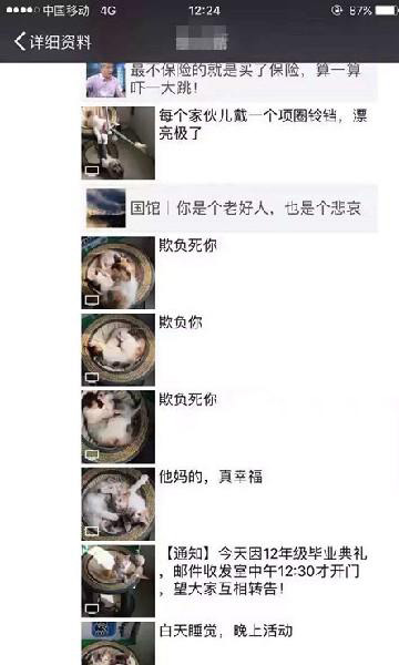 北京最新虐猫事件，社会伦理与动物保护的双重拷问