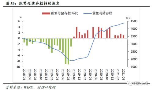 涤纶切片最新价格，市场趋势、影响因素及未来展望