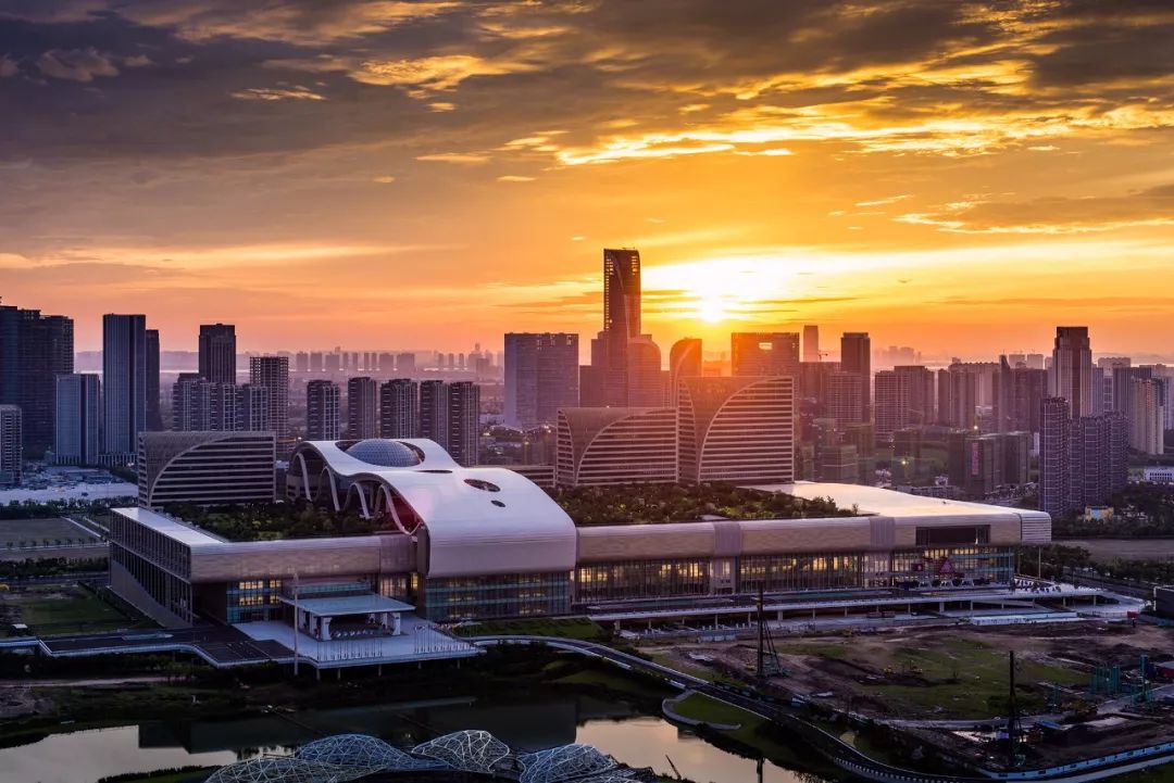 最新回杭消息，杭州，一座城市的温暖回归