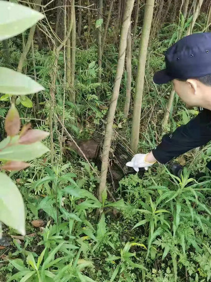 最新沈魏视频，科技与艺术的碰撞