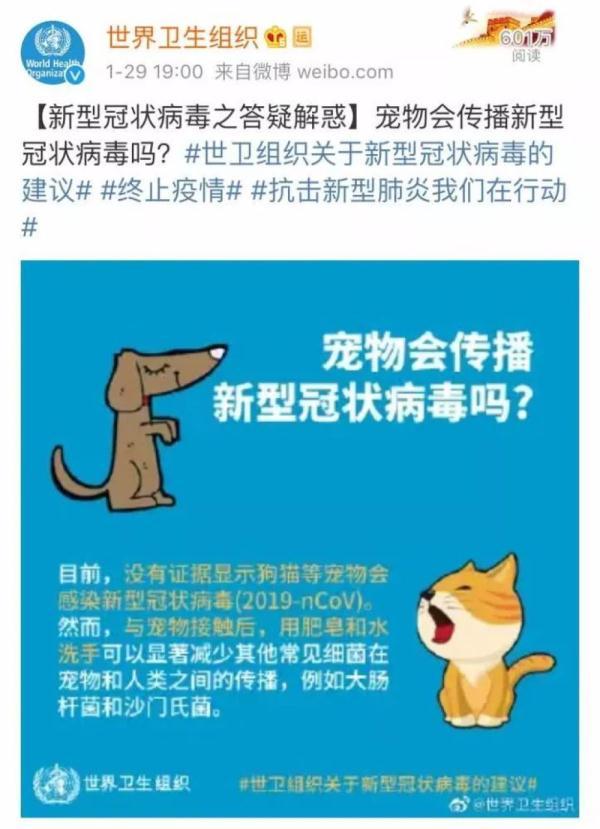 最新疫情下，猫狗与人类共生的挑战与机遇