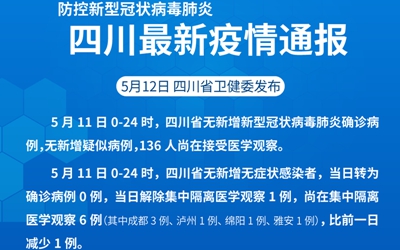 美国最新肺炎通报，疫情现状与防控挑战