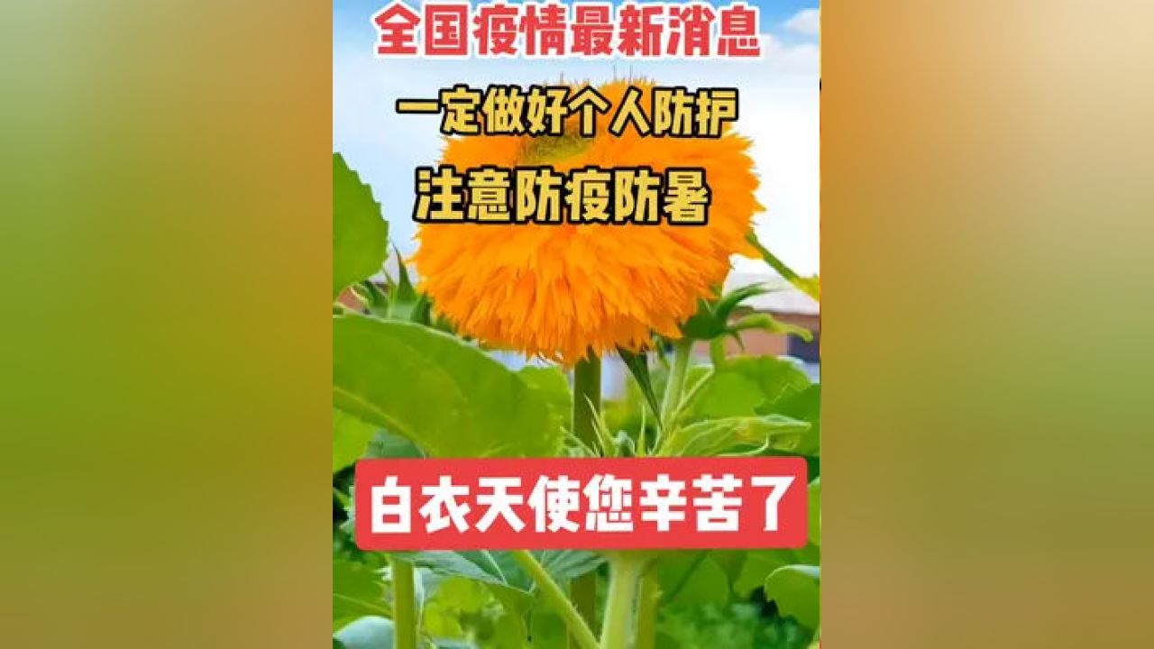 疫情最新通报图，全球疫情动态与防控成效